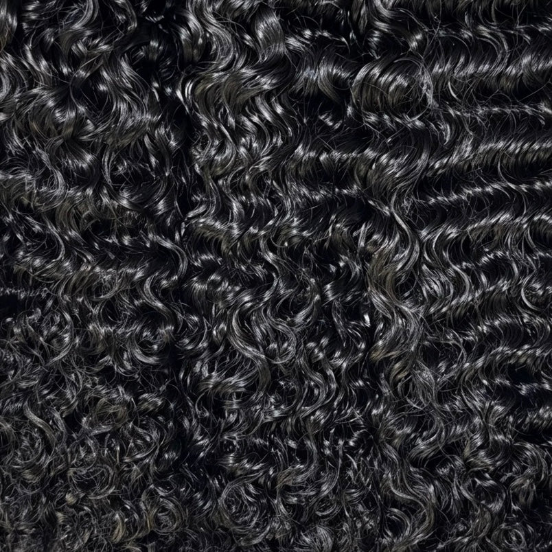 Raw Burmese Curly Sité Noire