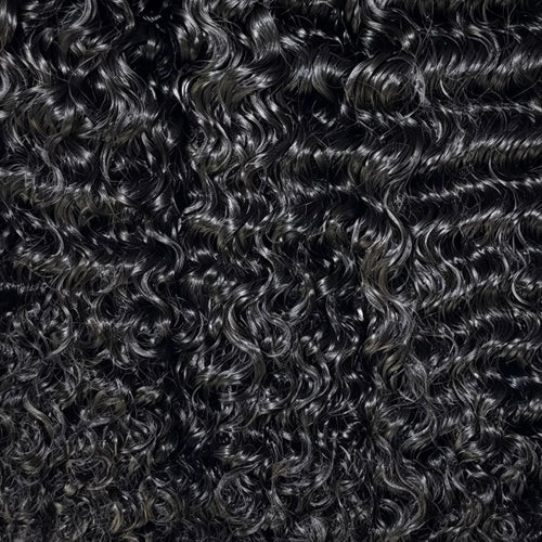 Raw Burmese Curly Sité Noire
