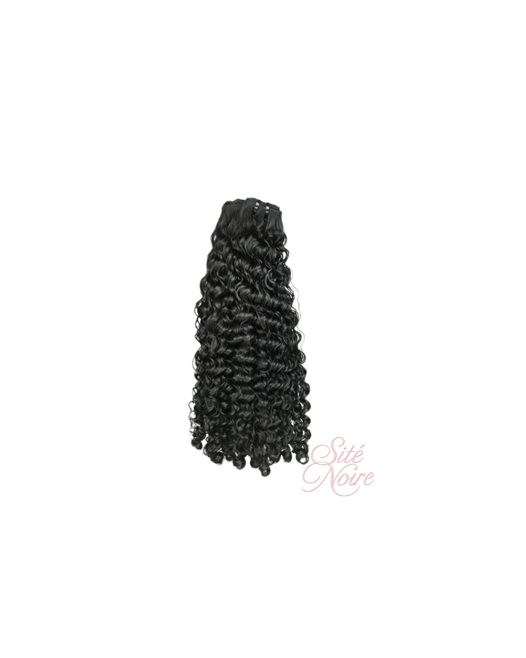 Burmese Curly Sité Noire