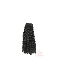 Burmese Curly Sité Noire