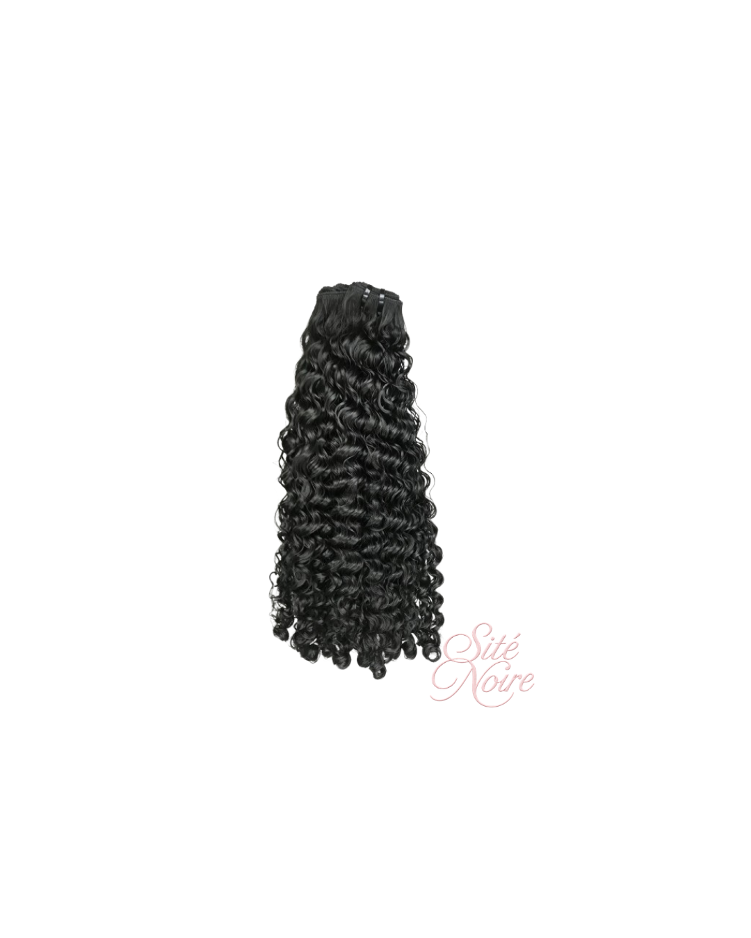 Burmese Curly Sité Noire