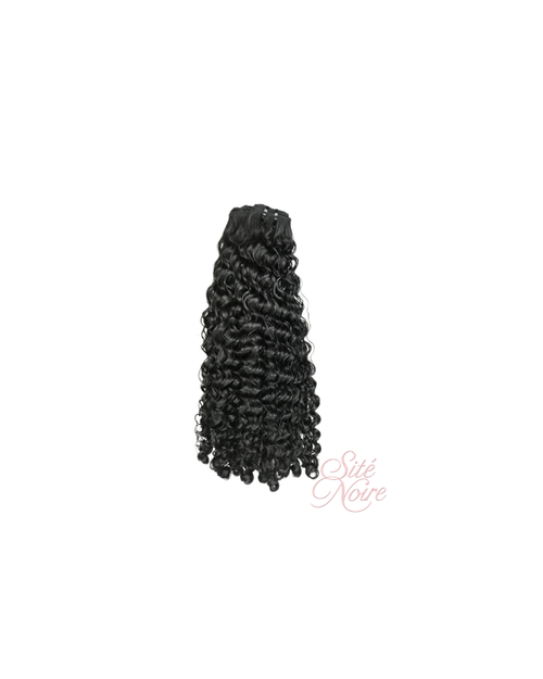 Burmese Curly Sité Noire