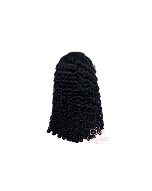 Raw Burmese Curly Sité Noire